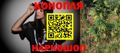 прущие грибы Дубна