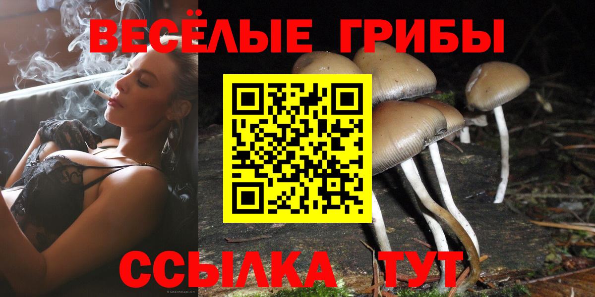 Псилоцибиновые грибы прущие грибы  Вход с VPN  Лосино-Петровский 